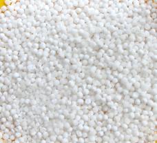 sabudana